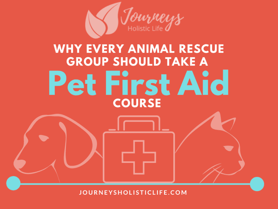 Why Dog Rescue Group Should Take Pet First Aid & CPR Course