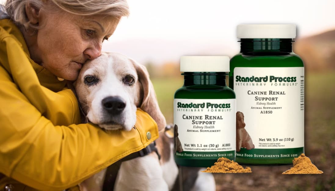 Standard Process Canine Renal Support | Holistic Vet's Review