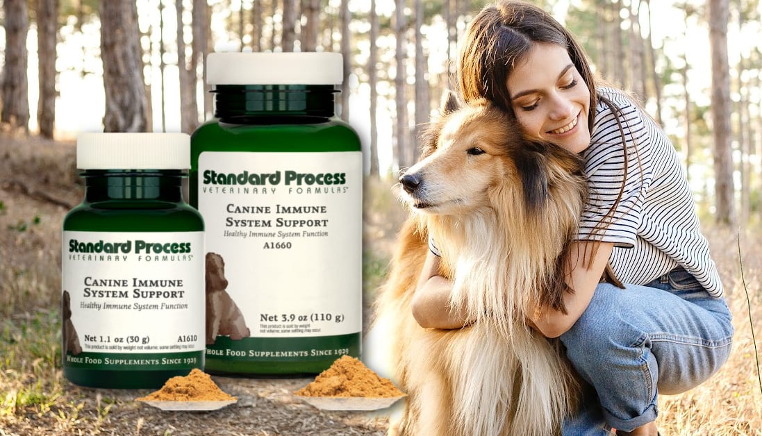 Standard Process Canine Immune Support | Holistic Vet's Review